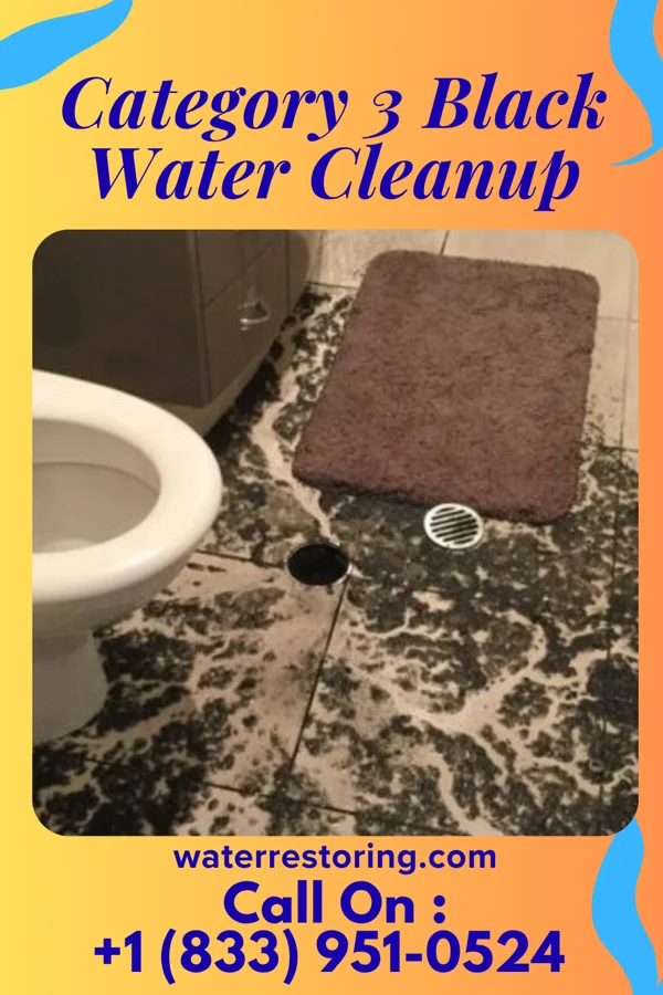 Category 3 Black Water Cleanup in Thedford, NE