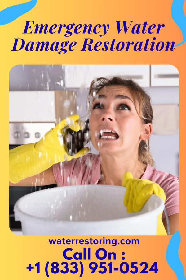 Emergency Water Damage Restoration in Thedford, NE